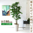 フェイクグリーン オスマンサスツリー H約180cm 鉢付き / 人工観葉植物 観葉植物 フェイク 造花 大型 大きい 店舗 装飾 開店 開業 移転 祝い ギフ...