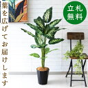 人工 観葉植物 フェイク グリーン ディフェンバキア H約110cm 店舗 装飾 開店 開業 移転 祝い ギフト プレゼント 住宅展示場 モデルハウス オフィス 