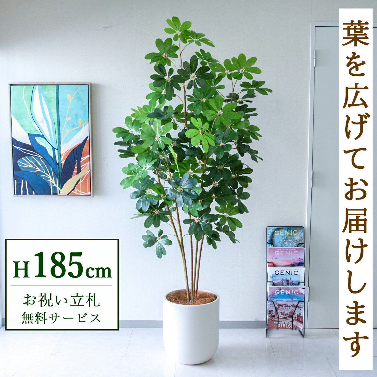 フェイクグリーン 観葉植物 人工観葉植物 シェフレラ カポック 大型 185cm 鉢付き / ★立札無料★ 法人・開店祝い 店舗・オフィス装飾 空間演出 造花/PG228-CHC33IV