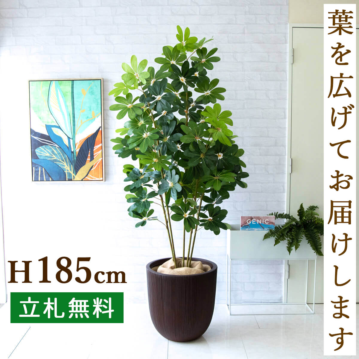 カポック 人工 観葉植物 フェイク グリーン シェフレラ H約185cm 大型 店舗 装飾 開店 開業 移転 祝い ギフト プレゼント 住宅展示場 モデルハウス オフィス [お祝い立札無料]【PG228-FRA44DB シェフレラ H約185cm/FRP鉢】