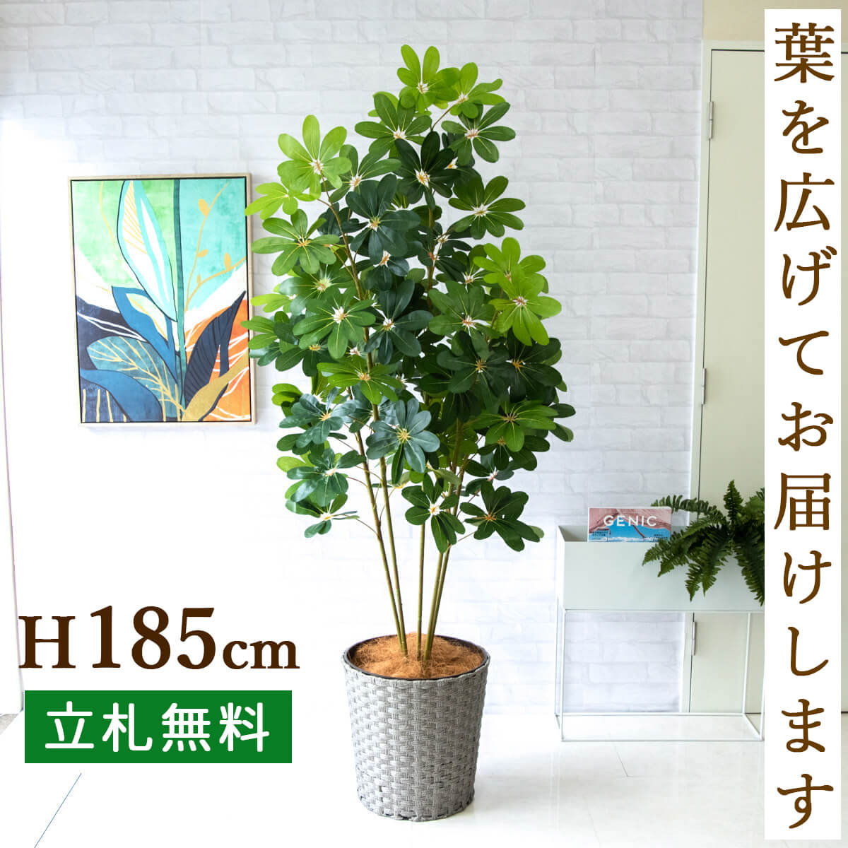 シェフレラ 観葉植物 人工 観葉植物 フェイク グリーン シェフレラ H約185cm 大型 店舗 装飾 開店 開業 移転 祝い ギフト プレゼント 住宅展示場 モデルハウス オフィス [お祝い立札無料]【PG228-MEL38GY シェフレラ H約185cm/バスケット鉢】