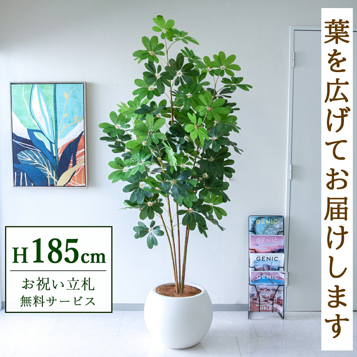 フェイクグリーン 観葉植物 人工観葉植物 シェフレラ カポック 大型 185cm 鉢付き / ★立札無料★ 法人・開店祝い 店舗・オフィス装飾 空間演出 造花/PG228-ROM43IV