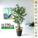 フェイクグリーン 黒竹 H約190cm 鉢付き / 人工観葉植物 観葉植物 フェイク 造花 大型 大きい 店舗 装飾 開店 開業 移転 祝い ギフト プレゼント...