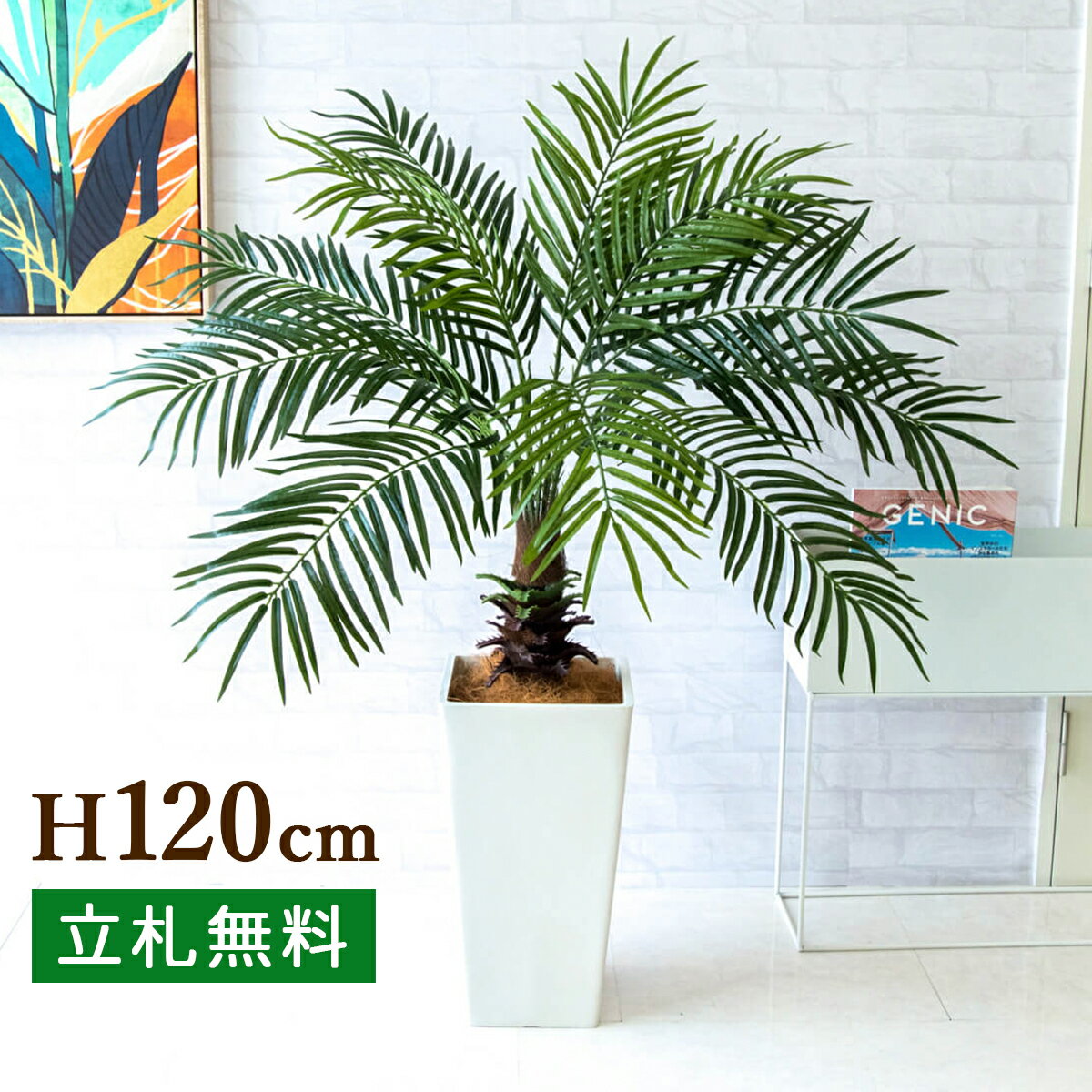 商品情報 H約120cm(鉢サイズ：□約25cm/H約46cm) ご利用案内詳細はこちらからご確認ください