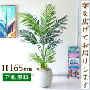 フェイクグリーン アレカパームツリー H約165cm 鉢付き / 人工観葉植物 観葉植物 フェイク 造花パームツリー 南国 夏 店舗 装飾 開店 開業 移転 祝...