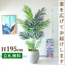 フェイクグリーン アレカパームツリー H約195cm 鉢付き / 人工観葉植物 観葉植物 フェイク 造花 大型 大きいパームツリー 南国 夏 店舗 装飾 開店 開業 移転 祝い ギフト プレゼント おしゃれ 住宅展示場 モデルハウス オフィス 立札無料 /PG243-BAL42IV