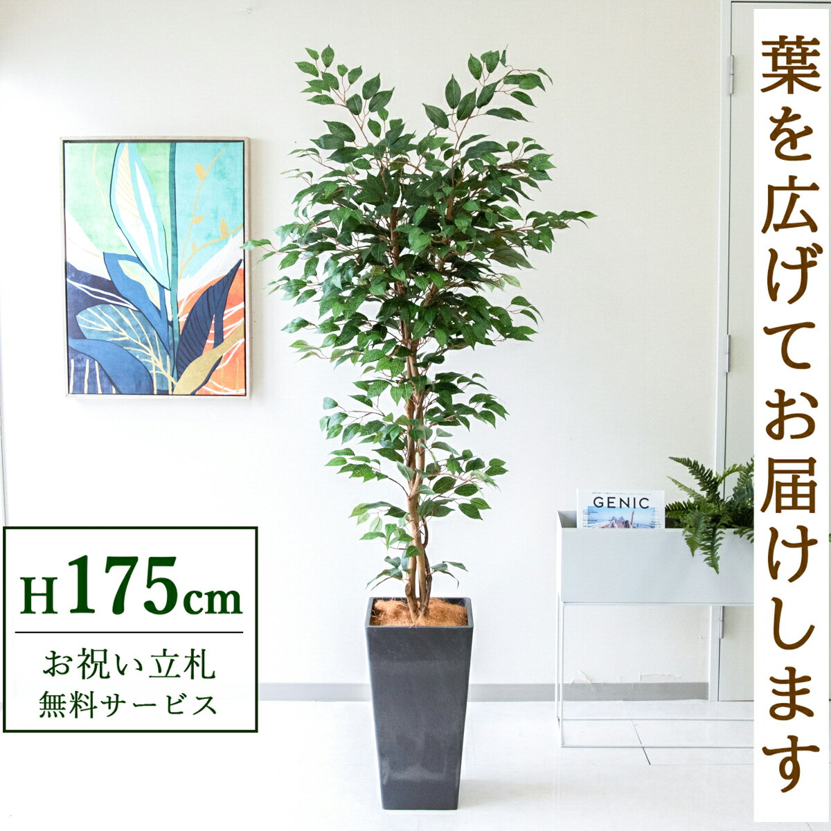 フェイクグリーン フィカス ベンジャミン ツリー H約175cm 鉢付き / 人工観葉植物 観葉植物 フェイク 造花 大型 大きい 店舗 装飾 開店 開業 移転 祝い ギフト プレゼント おしゃれ 住宅展示場 モデルハウス オフィス 立札無料 /PG245-Q25BK