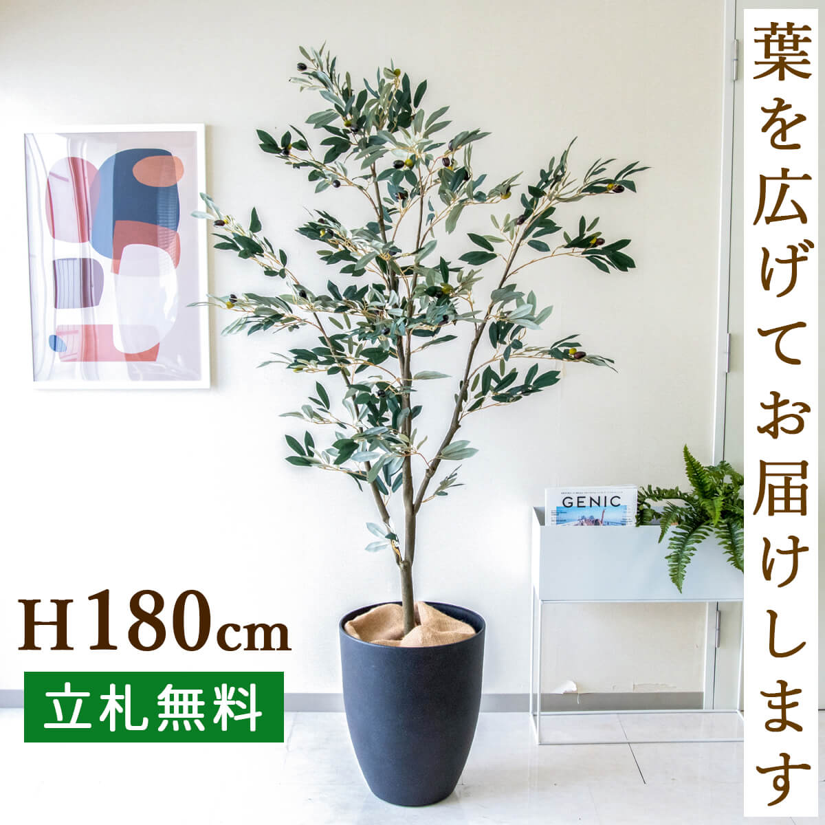 人工 観葉植物 フェイク グリーン オリーブ H約180cm 大型 店舗 装飾 開店 開業 移転 祝い ギフト プレゼント 住宅展示場 モデルハウス オフィス お祝い立札無料 【PG246-CQX35BK オリーブ H約180cm/合成樹脂鉢】