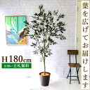 フェイクグリーン オリーブ H約180cm 鉢付き / 人工観葉植物 観葉植物 フェイク 造花 大型 大きい 店舗 装飾 開店 開業 移転 祝い ギフト プレゼ...