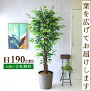 フェイクグリーン ハワイアン フィカス ベンジャミン H約190cm 鉢付き / 人工観葉植物 観葉植物 フェイク 造花 大型 大きい 店舗 装飾 開店 開業 ...