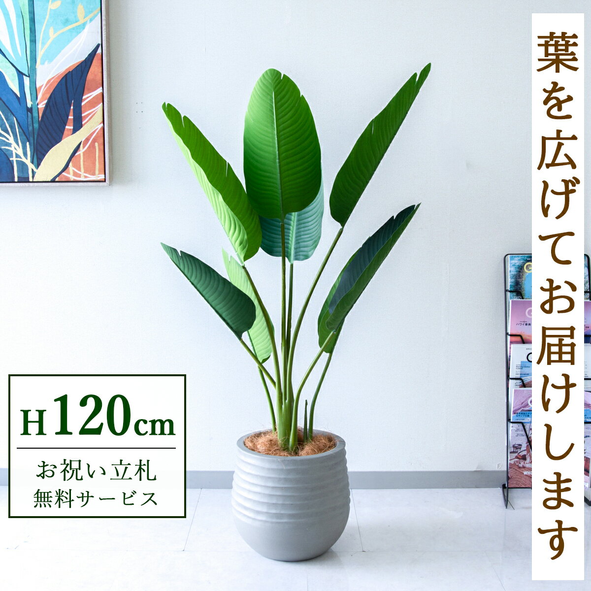 Rakuten - フェイクグリーン 観葉植物 人工観葉植物 オーガスタ 120cm 鉢付き / ★立札無料★ 法人・開店祝い 店舗・オフィス装飾 空間演出 造花/PG252-J30