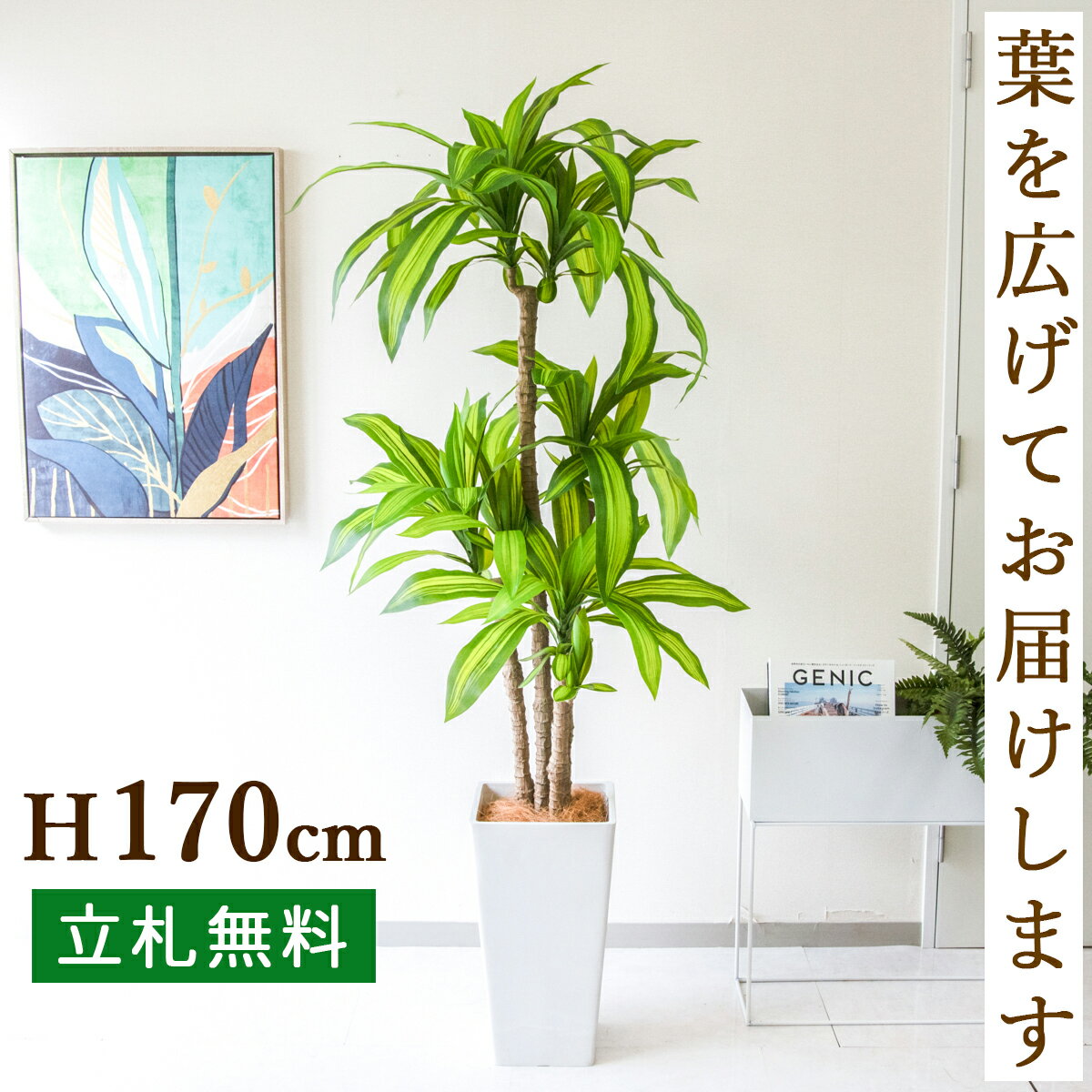 lH ϗtA tFCN O[ }bT H175cm ^ X  JX J ړ] j Mtg v[g ZW fnEX ItBX [jD]yPG260-Q25WH }bT H175cm /vX`bNz