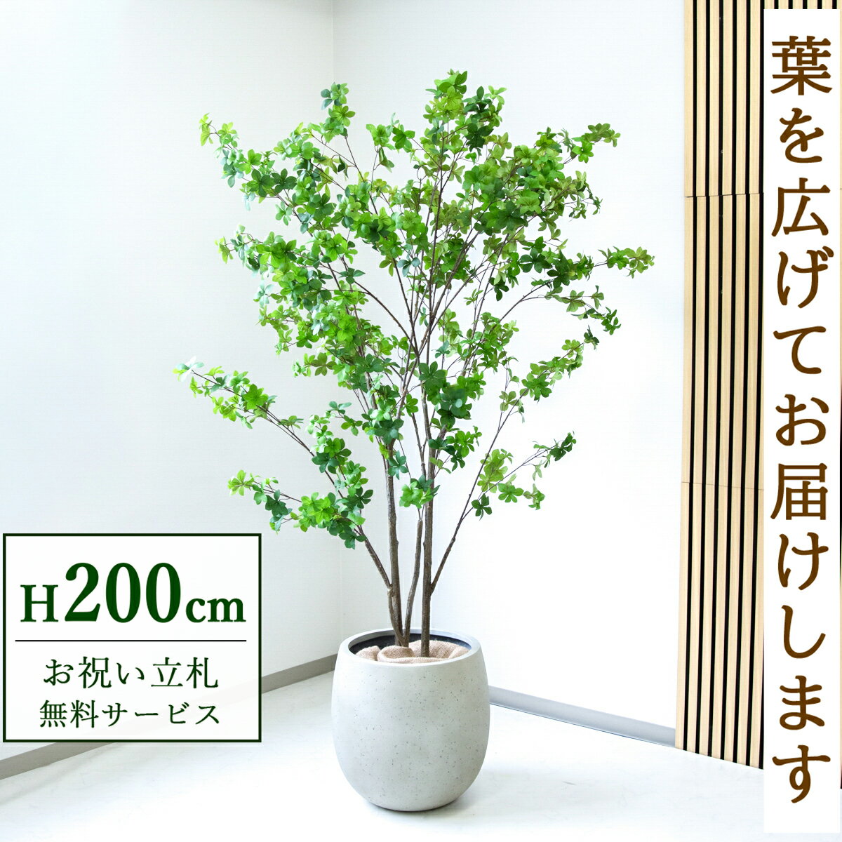 Rakuten - フェイクグリーン 観葉植物 人工観葉植物 ドウダンツツジ 大型 200cm 鉢付き / 立札無料 送料無料 法人・開店祝い 店舗・オフィス装飾 空間演出 造花/PG261-BAL42IV
