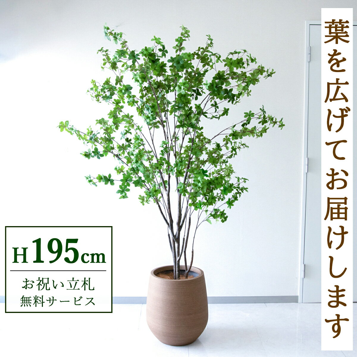 樂天商城 - フェイクグリーン 観葉植物 人工観葉植物 ドウダンツツジ 大型 195cm 鉢付き / ★立札無料★ 法人・開店祝い 店舗・オフィス装飾 空間演出 造花/PG261-KAO38LB