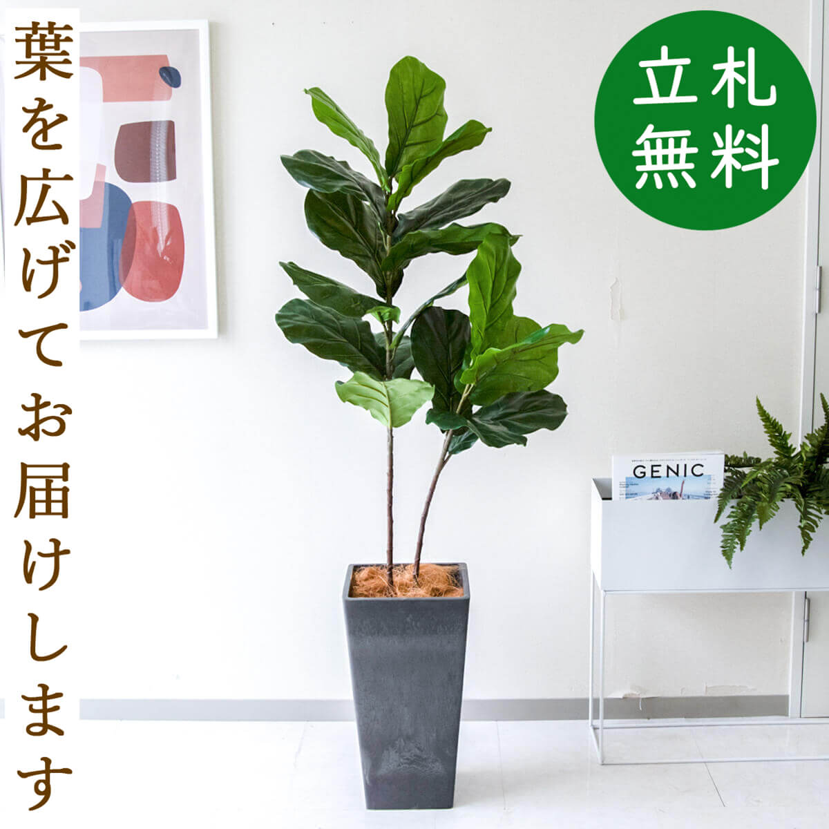 高さ160cm!! 大特価!! 新品.送料込!! 人工観葉樹木｢オリーブの木｣!! カフェインテリア 人工樹木 観葉植物 フェイクグリーン フェイクツリー ブリティッシュガーデン ガーデニング アメリカンアンティーク フィカスベンジャミン 擬木 DandyLifeSpace