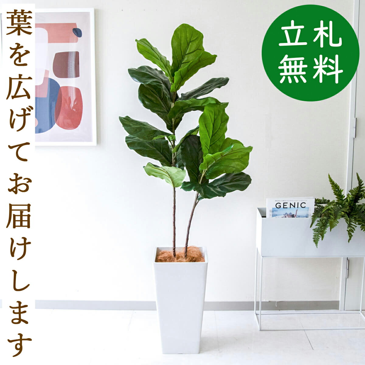 人工 観葉植物 フェイク グリーン カシワバゴム H約150cm 店舗 装飾 開店 開業 移転 祝い ギフト プレゼント 住宅展示場 モデルハウス オフィス 