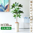 フェイクグリーン ツビタンサス H約130cm 鉢付き / 人工観葉植物 観葉植物 フェイク 造花 店舗 装飾 開店 開業 移転 祝い ギフト プレゼント おしゃれ 住宅展示場 モデルハウス オフィス 立札無料 /PG267-LRQ21IV(4)