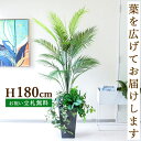 フェイクグリーン アレカパームツリー H約180cm 鉢付き / 人工観葉植物 観葉植物 フェイク 造花 大型 大きいパームツリー 南国 夏 店舗 装飾 開店 ...