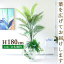 フェイクグリーン アレカパームツリー H約180cm 鉢付き / 人工観葉植物 観葉植物 フェイク 造花 大型 大きいパームツリー 南国 夏 店舗 装飾 開店 ...