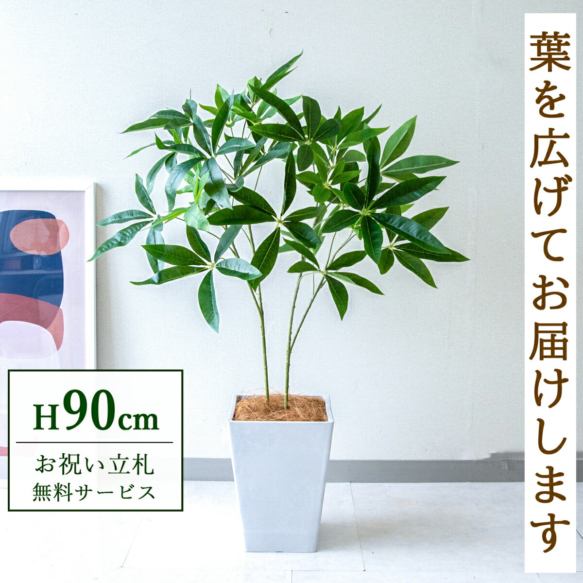 ★立札無料★【すぐ飾れる】 フェイクグリーン 人工観葉植物 パキラ 90cm 鉢付き / 法人・開店祝い 店舗・オフィス装飾 空間演出 造花/PG277-Q20WH