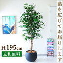 フェイクグリーン フィカス ベンジャミン ツリー H約195cm 鉢付き / 人工観葉植物 観葉植物 フェイク 造花 大型 大きい 店舗 装飾 開店 開業 移転...