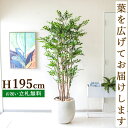フェイクグリーン トネリコ H約195cm 鉢付き / 人工観葉植物 観葉植物 フェイク 造花 大型 大きい 店舗 装飾 開店 開業 移転 祝い ギフト プレゼ...