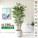 フェイクグリーン トネリコ H約180cm 鉢付き / 人工観葉植物 観葉植物 フェイク 造花 大型 大きい 店舗 装飾 開店 開業 移転 祝い ギフト プレゼ...