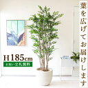 フェイクグリーン トネリコ H約185cm 鉢付き / 人工観葉植物 観葉植物 フェイク 造花 大型 大きい 店舗 装飾 開店 開業 移転 祝い ギフト プレゼ...