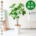 フェイクグリーン バオバブツリー H約95cm 鉢付き / 人工観葉植物 観葉植物 フェイク 造花 店舗 装飾 開店 開業 移転 祝い ギフト プレゼント おし...