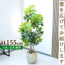 フェイクグリーン シェフレラ H約155cm 鉢付き / 人工観葉植物 観葉植物 フェイク 造花 店舗 装飾 開店 開業 移転 祝い ギフト プレゼント おしゃ...
