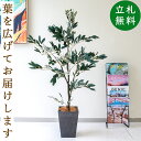 フェイクグリーン オリーブ H約120cm 鉢付き / 人工観葉植物 観葉植物 フェイク 造花 大型 大きい 店舗 装飾 開店 開業 移転 祝い ギフト プレゼ...