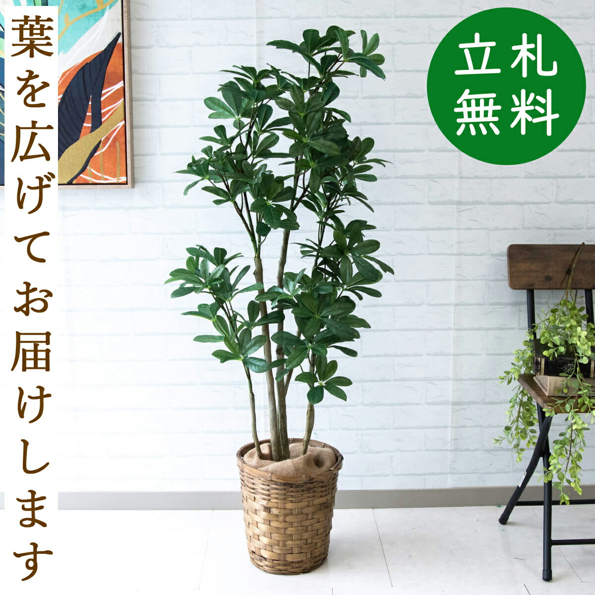 人工 観葉植物 フェイク グリーン シェフレラ H約125cm 店舗 装飾 開店 開業 移転 祝い ギフト プレゼ..