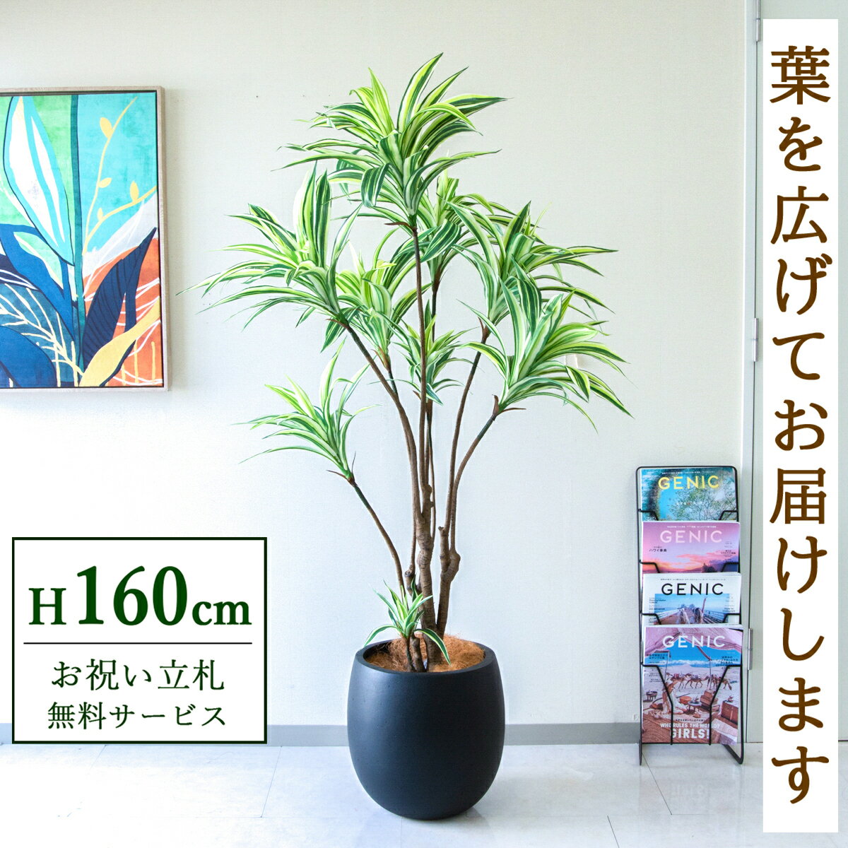 Rakuten - フェイクグリーン 観葉植物 人工観葉植物 ドラセナイエロー 160cm 鉢付き / ★立札無料★ 法人・開店祝い 店舗・オフィス装飾 空間演出 造花/PG270-BAL35BK