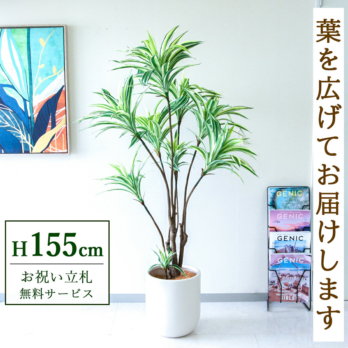 Rakuten - フェイクグリーン 観葉植物 人工観葉植物 ドラセナイエロー 155cm 鉢付き / ★立札無料★ 法人・開店祝い 店舗・オフィス装飾 空間演出 造花/PG270-CHC29IV