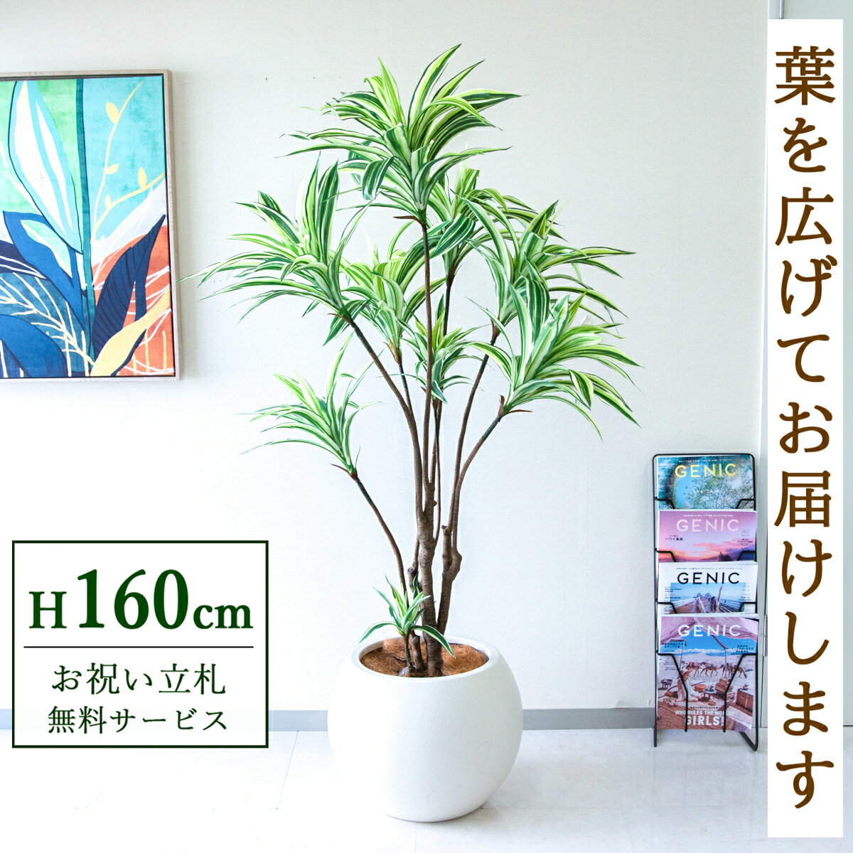 Rakuten - フェイクグリーン 観葉植物 人工観葉植物 ドラセナイエロー 160cm 鉢付き / ★立札無料★ 法人・開店祝い 店舗・オフィス装飾 空間演出 造花/PG270-ROM43IV