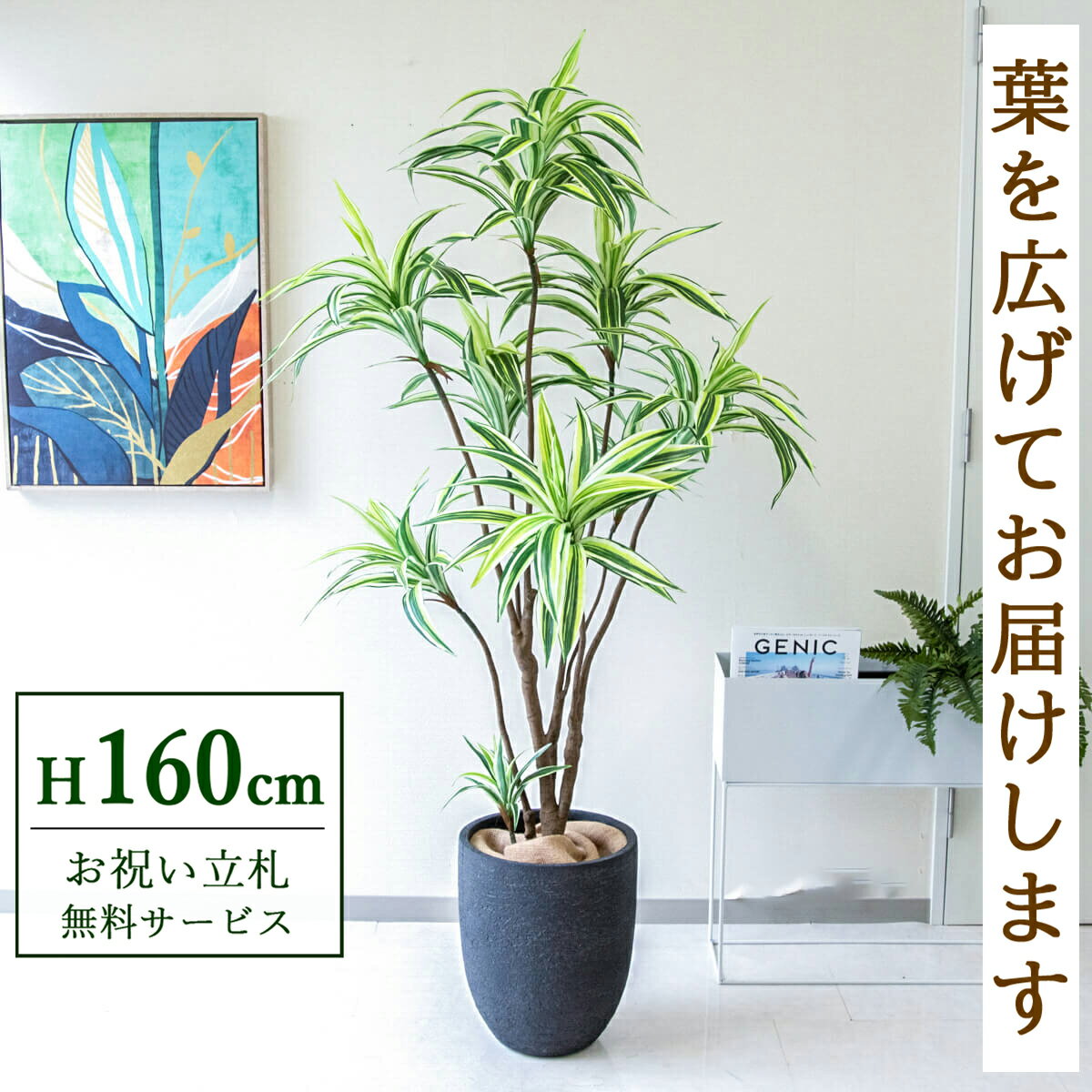 フェイクグリーン 観葉植物 人工観葉植物 ドラセナイエロー 160cm 鉢付き / 立札無料 送料無料 法人・開店祝い 店舗・オフィス装飾 空間演出 造花/PG270-SFO31BM
