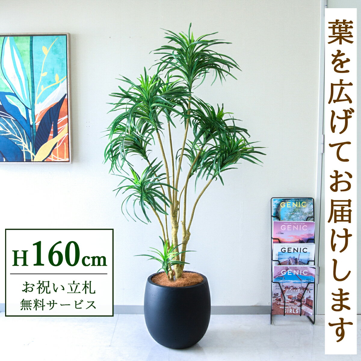 Rakuten - フェイクグリーン 観葉植物 人工観葉植物 ユッカツリー 160cm 鉢付き / ★立札無料★ 法人・開店祝い 店舗・オフィス装飾 空間演出 造花/PG271-BAL35BK