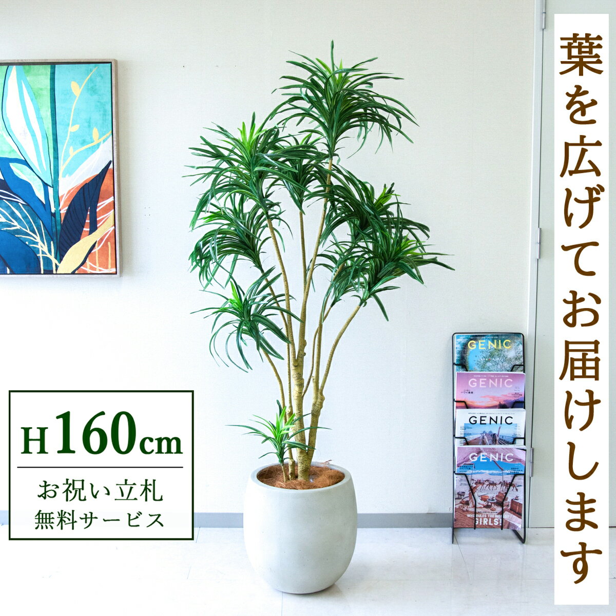 Rakuten - フェイクグリーン 観葉植物 人工観葉植物 ユッカツリー 160cm 鉢付き / ★立札無料★ 法人・開店祝い 店舗・オフィス装飾 空間演出 造花/PG271-BAL35IV