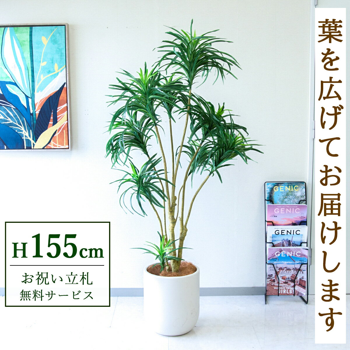 商品情報 (PG271-CHC29IV)高さ：H約155cm鉢サイズ：Φ約29cm/H約33cm鉢材質：プラスチック鉢 ご利用案内 詳細はこちらからご確認ください 商品について ■未来への飛躍を願う「青年の木」 鋭い葉が上に向かって力強く伸びる姿から、ユッカは別名「青年の木」とも呼ばれています。花言葉は「勇壮」「偉大」。その名の通り「成長」や「発展」を象徴する縁起の良い植物です。 風水では、鋭い葉は「邪気払い」や「魔除け」の効果があると言われており、オフィスの入り口や部屋の隅に置くことで、悪い気を払い運気を上げるとされています。スタイリッシュでモダンな見た目は、男性の多い職場や、クールな雰囲気のインテリアにも最適です。 ■存在感抜群！空間の主役になる（高さ約【 155cm】） 大人の身長と同じくらいの高さがあるため、置くだけで空間の主役になれる【 大型サイズ 】です。立った状態での目線の高さ（アイレベル）に緑が来るため、殺風景になりがちな廊下やエレベーターホール、入り口周りの印象をガラッと変えることができます。■手間いらずで清潔！フェイクグリーンのメリット本物の植物と違い、日当たりや水やりを気にする必要がありません。窓がない部屋や、地下の店舗、長期休暇があるオフィスでも枯れないので安心です。土を使わないため虫がわかないのも大きなメリット。普段のお手入れは、葉に溜まったホコリを軽く拭くだけでOKです。■「空間装飾」のプロも選ぶデザイン性本物のようなリアルな質感は、インテリアの質を落とさず、空間をワンランク上の雰囲気へ引き上げます。商業施設やモデルルーム、ホテルのロビーなど、高い装飾性が求められるシーンでも多数採用されています。単なる緑化だけでなく、空間を美しく見せる「ディスプレイ」としてご活用ください。■衛生面が気になる場所へのギフトにも土などによる汚れが出ないため、衛生面に厳しい飲食店や病院（クリニック・歯科医院）への贈り物として選ばれています。「開店祝い」や「開業祝い」として、相手先に手入れの手間をかけさせない、気の利いたギフトになります。■「立札」や「メッセージカード」も対応ビジネスシーンでの贈り物に欠かせない「立札（祝い札）」の作成も承っております。ベンジャミン・フィカス アレカ・フェニックス パキラ ユッカ・ドラセナ マッサン（幸福の木） ストレチア・オーガスタ シェフレラ・ウンベラータ その他 〜15,000円 〜20,000円 〜30,000円 〜50,000円 50,001円〜