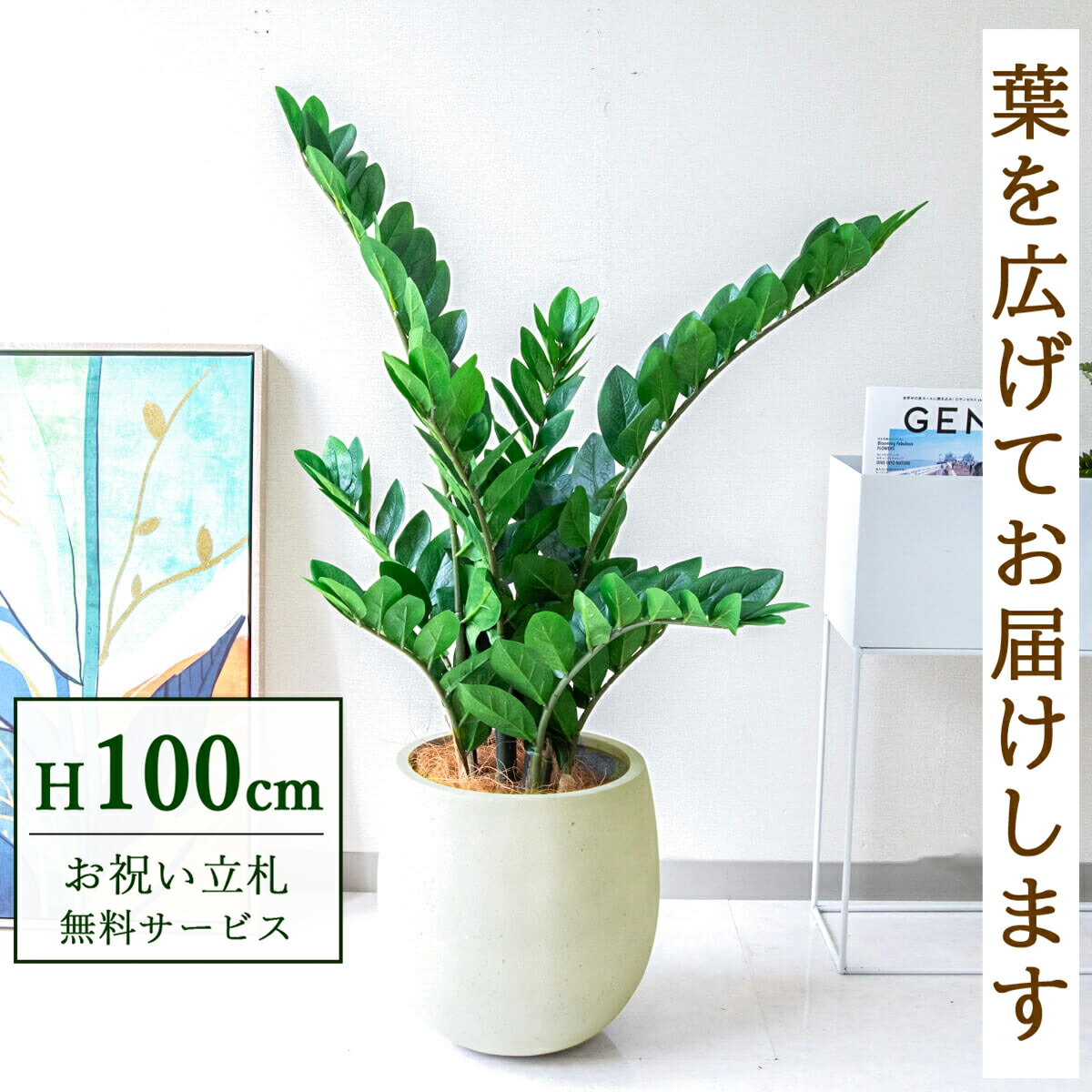 Rakuten - フェイクグリーン 観葉植物 人工観葉植物 ザミフォリア 100cm 鉢付き / 立札無料 送料無料 法人・開店祝い 店舗・オフィス装飾 空間演出 造花/PG274-BAL30IV