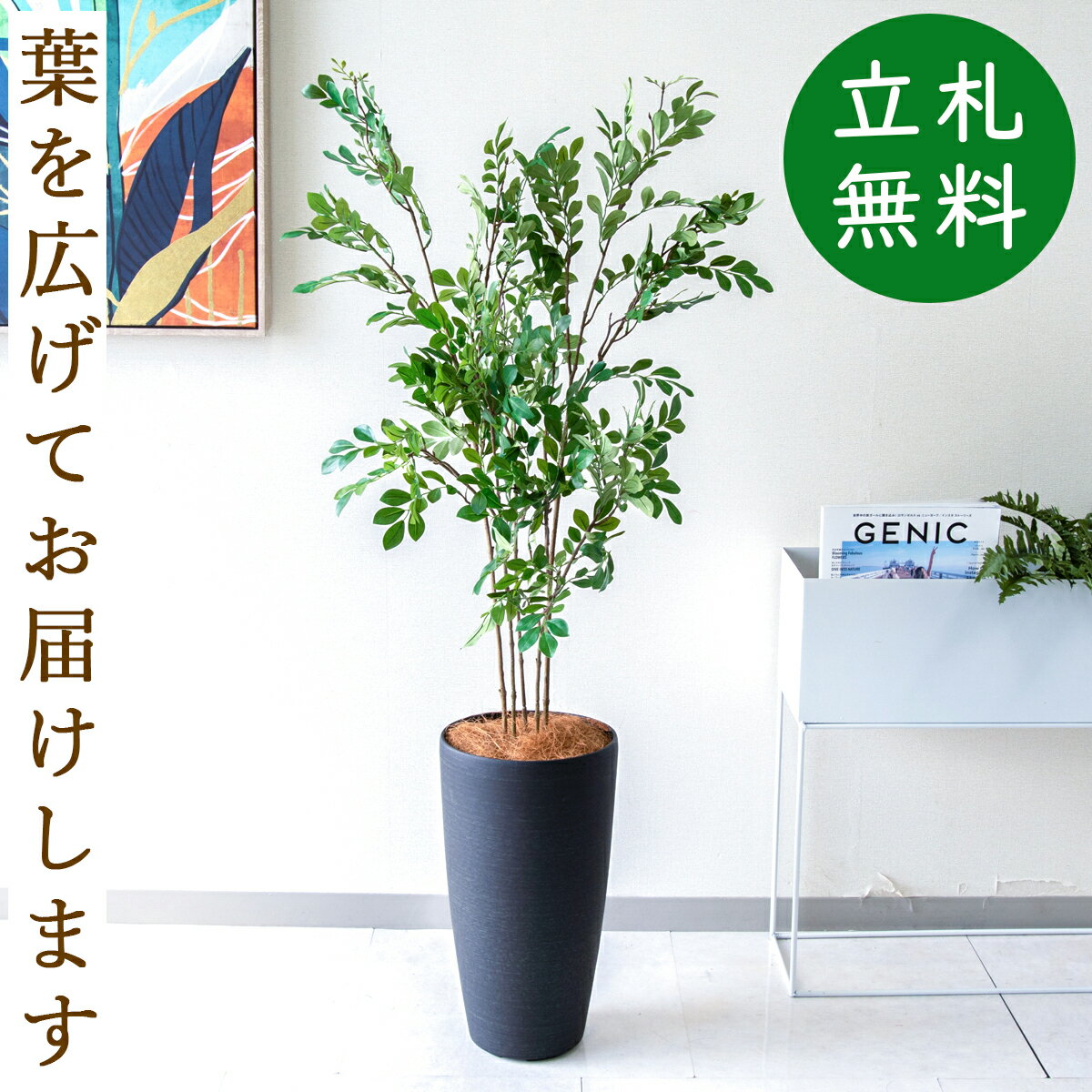 Rakuten - フェイクグリーン 観葉植物 人工観葉植物 トネリコ 125cm 鉢付き / 立札無料 送料無料 法人・開店祝い 店舗・オフィス装飾 空間演出 造花/PG276-5-ZAG22BK