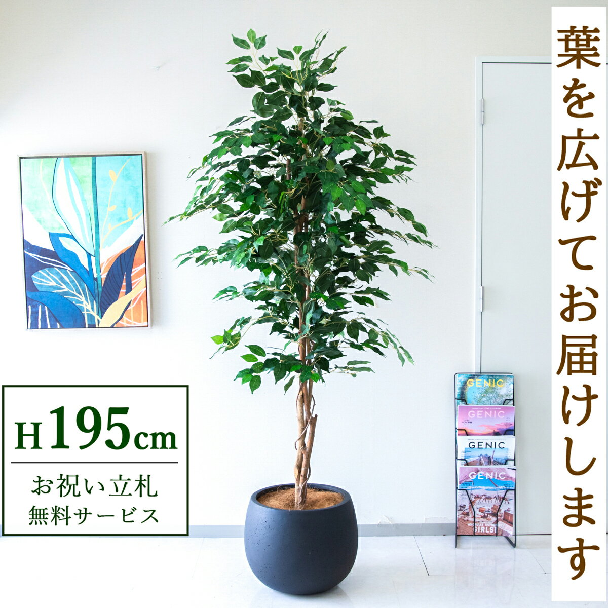 Rakuten - フェイクグリーン 観葉植物 人工観葉植物 フィカス ベンジャミン 大型 195cm 鉢付き / 立札無料 送料無料 法人・開店祝い 店舗・オフィス装飾 空間演出 造花/PG278-D42BK
