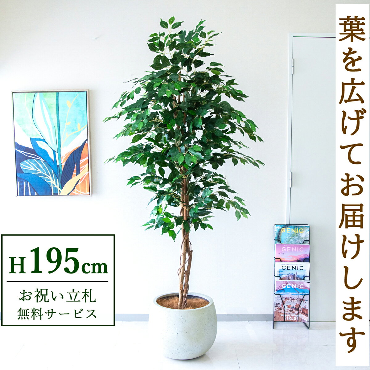 フェイクグリーン 観葉植物 人工観葉植物 フィカス ベンジャミン 大型 195cm 鉢付き / 立札無料 送料無料 法人・開店祝い 店舗・オフィス装飾 空間演出 造花/PG278-D42IV
