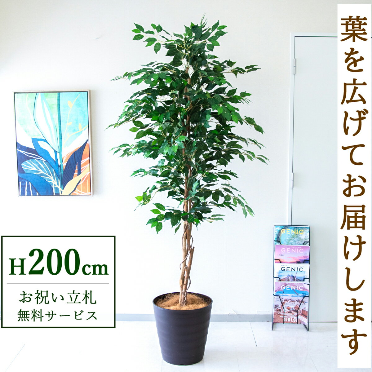 フェイクグリーン 観葉植物 人工観葉植物 フィカス ベンジャミン 大型 200cm 鉢付き / 立札無料 送料無料 法人・開店祝い 店舗・オフィス装飾 空間演出 造花/PG278-M36DB