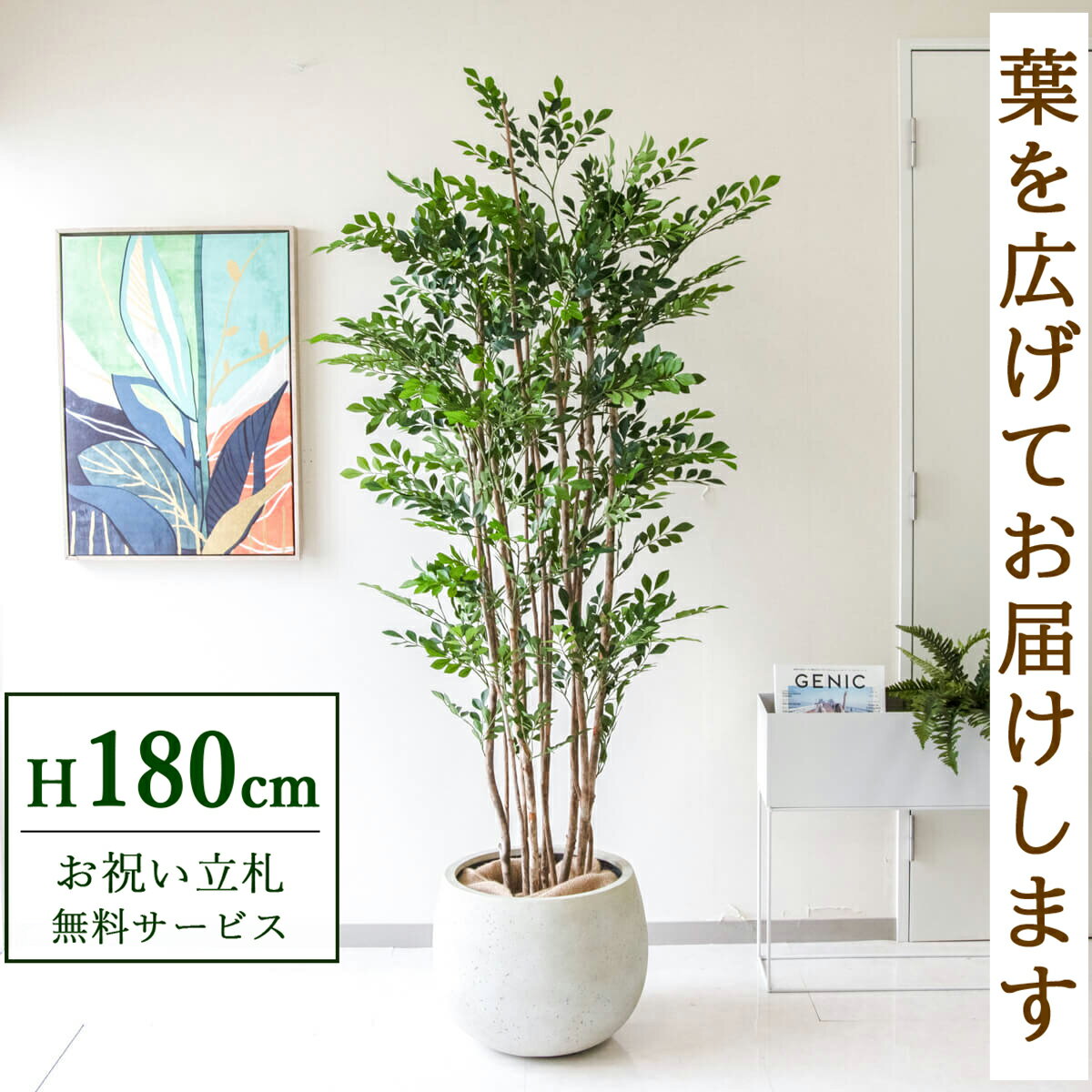 Rakuten - フェイクグリーン 観葉植物 人工観葉植物 トネリコ 大型 180cm 鉢付き / 立札無料 送料無料 法人・開店祝い 店舗・オフィス装飾 空間演出 造花/PG279-D42IV