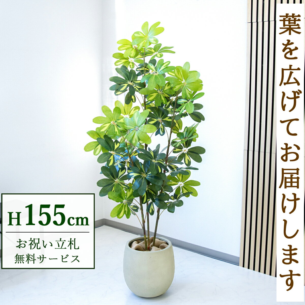 フェイクグリーン 観葉植物 人工観葉植物 シェフレラ カポック 155cm 鉢付き / 立札無料 送料無料 法人・開店祝い 店舗・オフィス装飾 空間演出 造花/PG282-BAL30IV