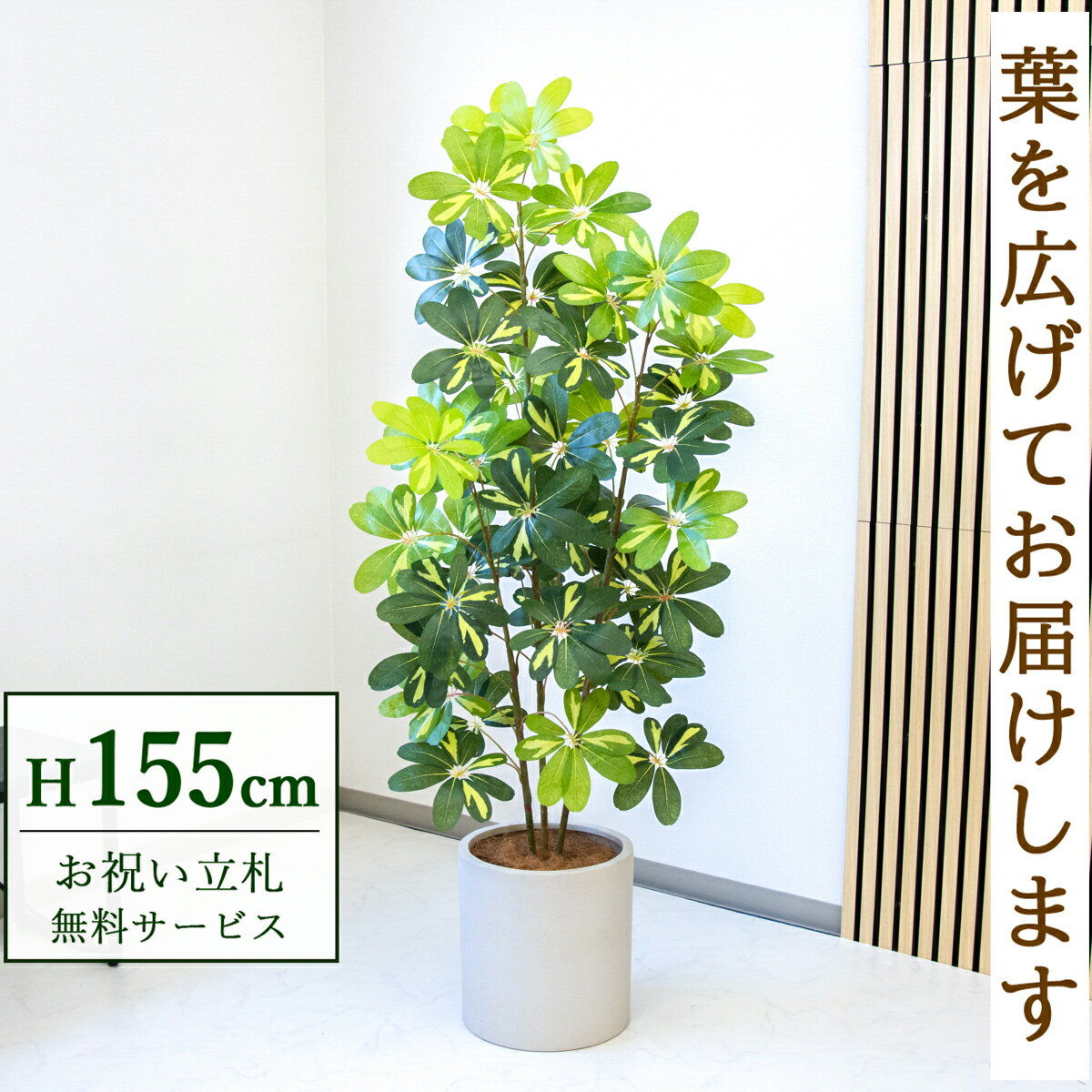 Rakuten - フェイクグリーン 観葉植物 人工観葉植物 シェフレラ カポック 155cm 鉢付き / 立札無料 送料無料 法人・開店祝い 店舗・オフィス装飾 空間演出 造花/PG282-H29