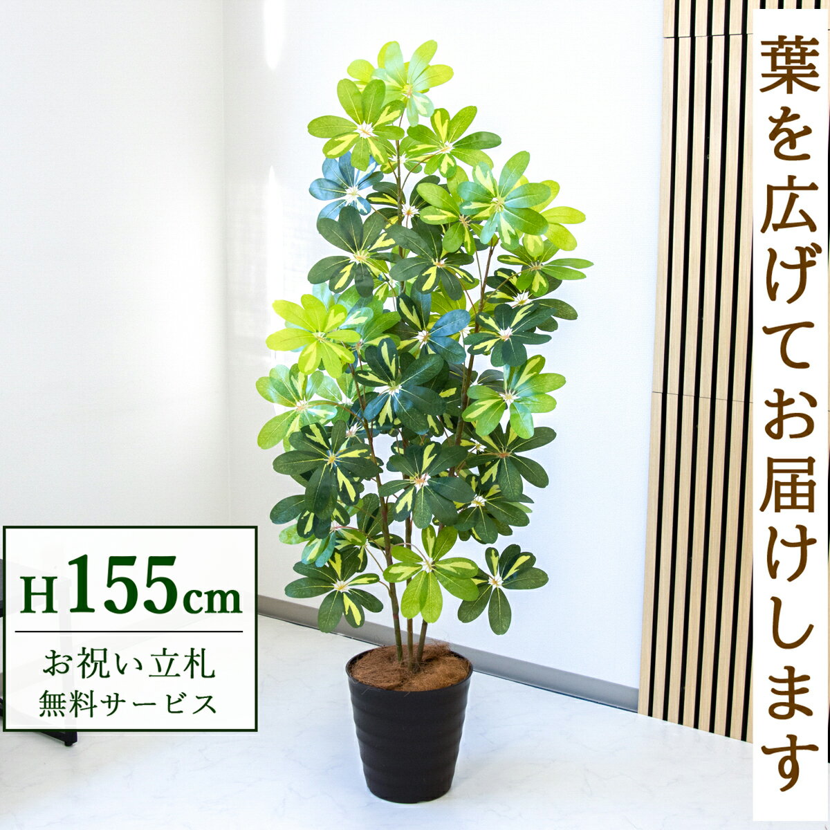 フェイクグリーン 観葉植物 人工観葉植物 シェフレラ カポック 155cm 鉢付き / 立札無料 送料無料 法人・開店祝い 店舗・オフィス装飾 空間演出 造花/PG282-M27DB