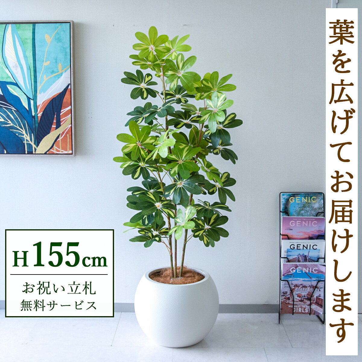 フェイクグリーン 観葉植物 人工観葉植物 シェフレラ カポック 155cm 鉢付き / ★立札無料★ 法人・開店祝い 店舗・オフィス装飾 空間演出 造花/PG282-ROM43IV