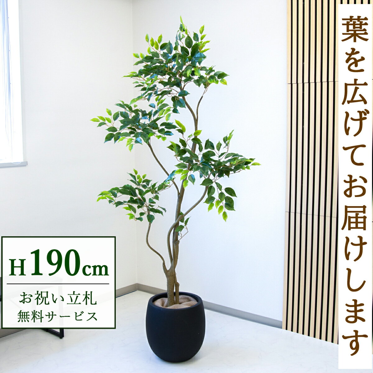 商品情報 (PG284-BAL35BK)高さ：H約190cm 鉢サイズ：Φ約35cm/H約35cm鉢材質：FRP鉢 ご利用案内 詳細はこちらからご確認ください 商品について ■「幸福をもたらす木」フィカス・ベンジャミン 小さく丸い葉がたくさん茂る姿から、インテリアグリーンの「定番」として長く愛されている植物です。花言葉は「信頼」や「結婚」、「永遠の愛」。人間関係をスムーズにするとも言われており、人が集まるオフィスや、家族団らんのリビングに最適です。 風水では、丸い葉は「リラックス効果」や気の「調和」をもたらす効果があると言われています。仕事でピリピリしがちな職場や、患者様に安心感を与えたい病院の待合室などに置くことで、穏やかで優しい気の流れを作ります。 ■1鉢で空間の雰囲気が決まるシンボルツリー（高さ約【 190cm 】） しっかりと高さがあり、空間のフォーカルポイント（注目の中心）になる【 大型サイズ 】です。広めのリビングや、オフィスのエントランスに1つ置くだけで、殺風景な場所が引き締まり、高級感のある空間を演出します。■手間いらずで清潔！フェイクグリーンのメリット本物の植物と違い、日当たりや水やりを気にする必要がありません。窓がない部屋や、地下の店舗、長期休暇があるオフィスでも枯れないので安心です。土を使わないため虫がわかないのも大きなメリット。普段のお手入れは、葉に溜まったホコリを軽く拭くだけでOKです。■「空間装飾」のプロも選ぶデザイン性本物のようなリアルな質感は、インテリアの質を落とさず、空間をワンランク上の雰囲気へ引き上げます。商業施設やモデルルーム、ホテルのロビーなど、高い装飾性が求められるシーンでも多数採用されています。単なる緑化だけでなく、空間を美しく見せる「ディスプレイ」としてご活用ください。■衛生面が気になる場所へのギフトにも土などによる汚れが出ないため、衛生面に厳しい飲食店や病院（クリニック・歯科医院）への贈り物として選ばれています。「開店祝い」や「開業祝い」として、相手先に手入れの手間をかけさせない、気の利いたギフトになります。■「立札」や「メッセージカード」も対応ビジネスシーンでの贈り物に欠かせない「立札（祝い札）」の作成も承っております。フィカス・ベンジャミンどんな場所にも合う定番ドラセナ・ユッカ・幸福の木スタイリッシュでモダンヤシ・アレカ・フェニックス南国リゾート風の空間にモンステラ・オーガスタ・ストレチア存在感のある大きな葉パキラ明るく、開放的な空間シェフレラ・ウンベラータ程よい葉の存在感トネリコ・オリーブ・ツツジ北欧ナチュラルな雰囲気その他個性豊かなグリーンたち〜15,000円〜20,000円〜30,000円〜50,000円50,001円〜